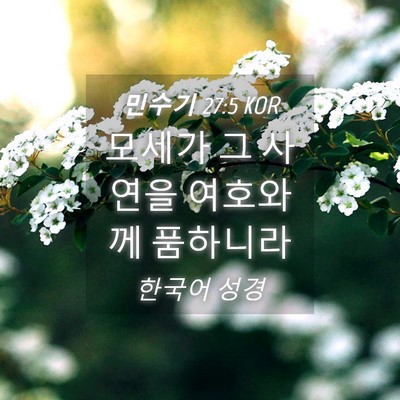 Picture 04 - 민수기 27:5 KOR - 모세가 그 사연을 여호와께 - Bible Verse Picture