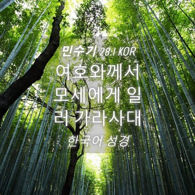 Picture 04 - 민수기 28:1 KOR - 여호와께서 모세에게 일러 - Bible Verse Picture