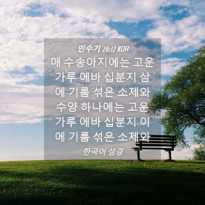 Picture 04 - 민수기 28:12 KOR - 매 수송아지에는 고운 가루 에바 - Bible Verse Picture