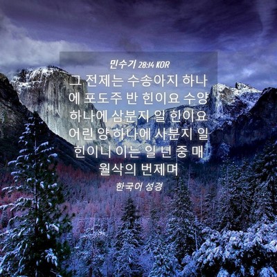 Picture 04 - 민수기 28:14 KOR - 그 전제는 수송아지 하나에 포도주 - Bible Verse Picture