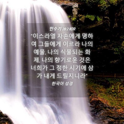 Picture 04 - 민수기 28:2 KOR - 
