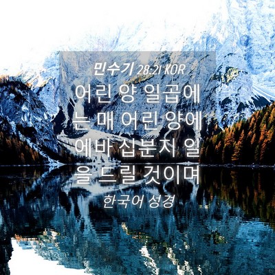 Picture 04 - 민수기 28:21 KOR - 어린 양 일곱에는 매 어린 양에 에바 - Bible Verse Picture