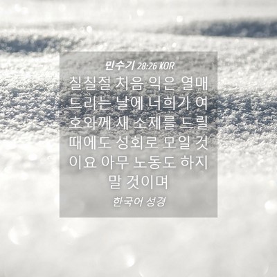 Picture 04 - 민수기 28:26 KOR - 칠칠절 처음 익은 열매 드리는 날에 - Bible Verse Picture