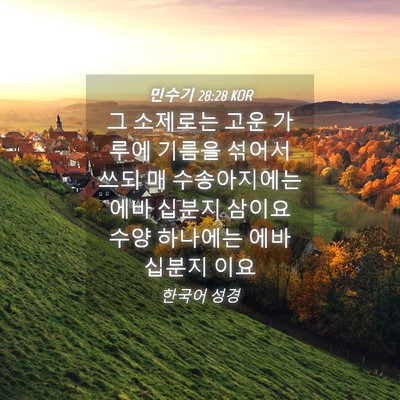 Picture 04 - 민수기 28:28 KOR - 그 소제로는 고운 가루에 기름을 - Bible Verse Picture