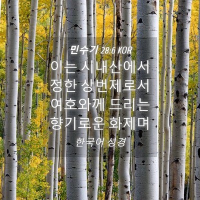 Picture 04 - 민수기 28:6 KOR - 이는 시내산에서 정한 상번제로서 - Bible Verse Picture