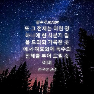 Picture 04 - 민수기 28:7 KOR - 또 그 전제는 어린 양 하나에 힌 - Bible Verse Picture