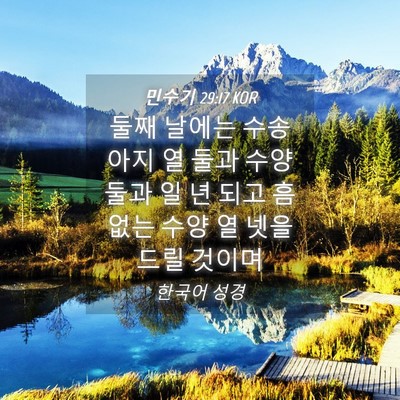 Picture 04 - 민수기 29:17 KOR - 둘째 날에는 수송아지 열 둘과 수양 - Bible Verse Picture