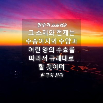 Picture 04 - 민수기 29:18 KOR - 그 소제와 전제는 수송아지와 수양과 - Bible Verse Picture