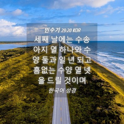 Picture 04 - 민수기 29:20 KOR - 세째 날에는 수송아지 열 하나와 - Bible Verse Picture
