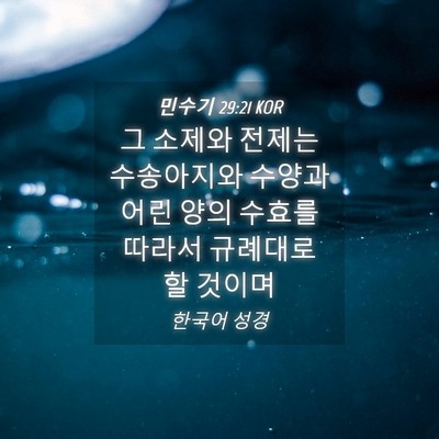 Picture 04 - 민수기 29:21 KOR - 그 소제와 전제는 수송아지와 수양과 - Bible Verse Picture