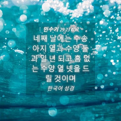 Picture 04 - 민수기 29:23 KOR - 네째 날에는 수송아지 열과 수양 - Bible Verse Picture