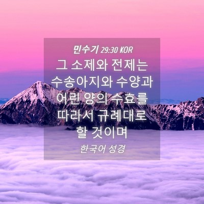 Picture 04 - 민수기 29:30 KOR - 그 소제와 전제는 수송아지와 수양과 - Bible Verse Picture