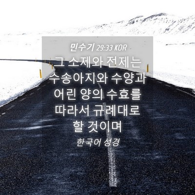 Picture 04 - 민수기 29:33 KOR - 그 소제와 전제는 수송아지와 수양과 - Bible Verse Picture