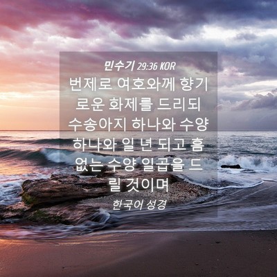 Picture 04 - 민수기 29:36 KOR - 번제로 여호와께 향기로운 화제를 - Bible Verse Picture