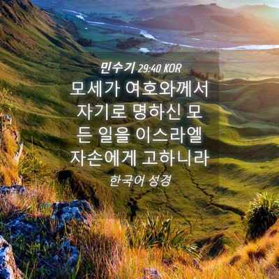 Picture 04 - 민수기 29:40 KOR - 모세가 여호와께서 자기로 명하신 - Bible Verse Picture