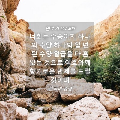 Picture 04 - 민수기 29:8 KOR - 너희는 수송아지 하나와 수양 하나와 - Bible Verse Picture