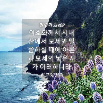Picture 04 - 민수기 3:1 KOR - 여호와께서 시내 산에서 모세와 - Bible Verse Picture