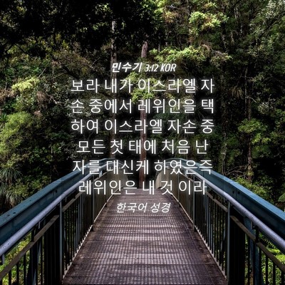 Picture 04 - 민수기 3:12 KOR - 보라 내가 이스라엘 자손 중에서 - Bible Verse Picture