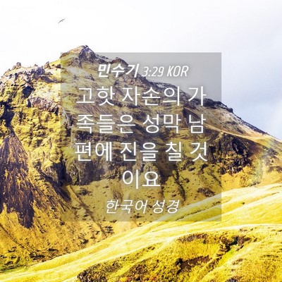 Picture 04 - 민수기 3:29 KOR - 고핫 자손의 가족들은 성막 남편에 - Bible Verse Picture
