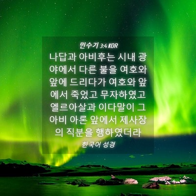 Picture 04 - 민수기 3:4 KOR - 나답과 아비후는 시내 광야에서 다른 - Bible Verse Picture