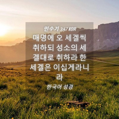 Picture 04 - 민수기 3:47 KOR - 매명에 오 세겔씩 취하되 성소의 - Bible Verse Picture