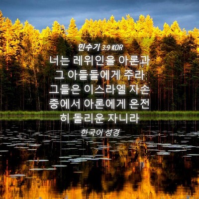 Picture 04 - 민수기 3:9 KOR - 너는 레위인을 아론과 그 아들들에게 - Bible Verse Picture