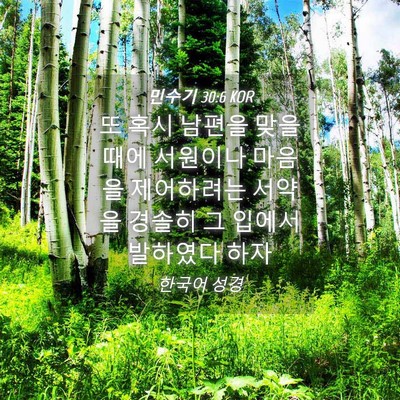 Picture 04 - 민수기 30:6 KOR - 또 혹시 남편을 맞을 때에 서원이나 - Bible Verse Picture