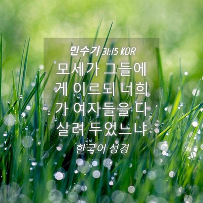 Picture 04 - 민수기 31:15 KOR - 모세가 그들에게 이르되 너희가 - Bible Verse Picture