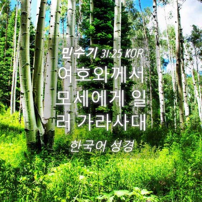 Picture 04 - 민수기 31:25 KOR - 여호와께서 모세에게 일러 - Bible Verse Picture