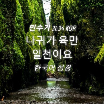 Picture 04 - 민수기 31:34 KOR - 나귀가 육만 - Bible Verse Picture