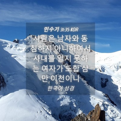 Picture 04 - 민수기 31:35 KOR - 사람은 남자와 동침하지 아니하여서 - Bible Verse Picture