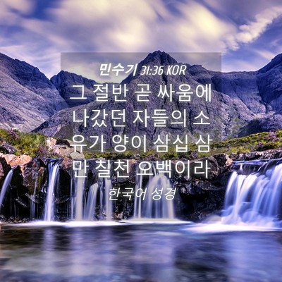 Picture 04 - 민수기 31:36 KOR - 그 절반 곧 싸움에 나갔던 자들의 - Bible Verse Picture