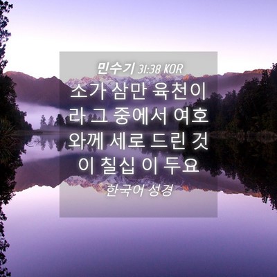 Picture 04 - 민수기 31:38 KOR - 소가 삼만 육천이라 그 중에서 - Bible Verse Picture