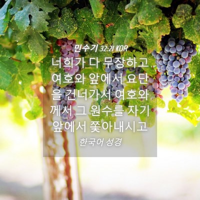 Picture 04 - 민수기 32:21 KOR - 너희가 다 무장하고 여호와 앞에서 - Bible Verse Picture