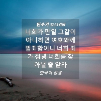 Picture 04 - 민수기 32:23 KOR - 너희가 만일 그같이 아니하면 - Bible Verse Picture