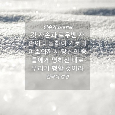 Picture 04 - 민수기 32:31 KOR - 갓 자손과 르우벤 자손이 대답하여 - Bible Verse Picture