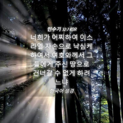Picture 04 - 민수기 32:7 KOR - 너희가 어찌하여 이스라엘 자손으로 - Bible Verse Picture