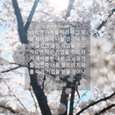 Picture 04 - 민수기 33:54 KOR - 너희의 가족을 따라서 그 땅을 - Bible Verse Picture
