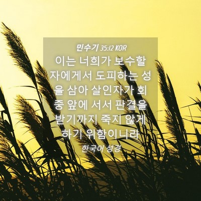 Picture 04 - 민수기 35:12 KOR - 이는 너희가 보수할 자에게서 - Bible Verse Picture