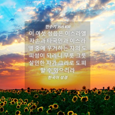 Picture 04 - 민수기 35:15 KOR - 이 여섯 성읍은 이스라엘 자손과 - Bible Verse Picture