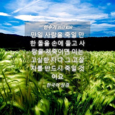 Picture 04 - 민수기 35:17 KOR - 만일 사람을 죽일 만한 돌을 손에 - Bible Verse Picture