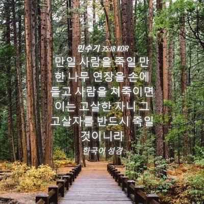 Picture 04 - 민수기 35:18 KOR - 만일 사람을 죽일 만한 나무 연장을 - Bible Verse Picture