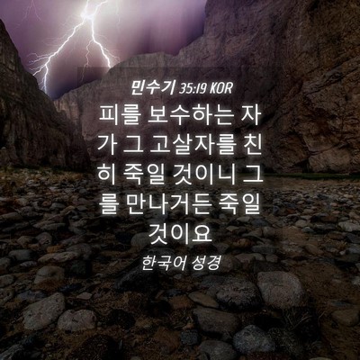 Picture 04 - 민수기 35:19 KOR - 피를 보수하는 자가 그 고살자를 - Bible Verse Picture