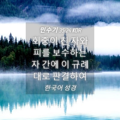 Picture 04 - 민수기 35:24 KOR - 회중이 친 자와 피를 보수하는 자 - Bible Verse Picture