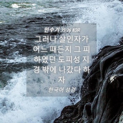 Picture 04 - 민수기 35:26 KOR - 그러나 살인자가 어느 때든지 그 - Bible Verse Picture