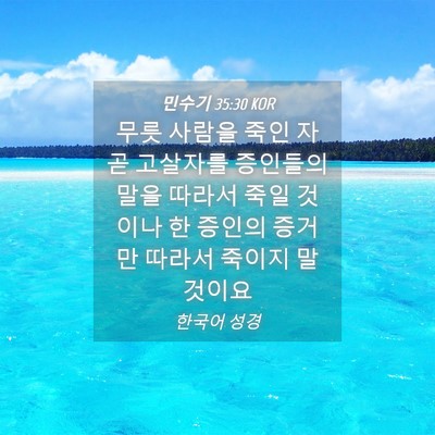 Picture 04 - 민수기 35:30 KOR - 무릇 사람을 죽인 자 곧 고살자를 - Bible Verse Picture