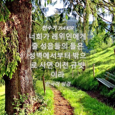 Picture 04 - 민수기 35:4 KOR - 너희가 레위인에게 줄 성읍들의 들은 - Bible Verse Picture