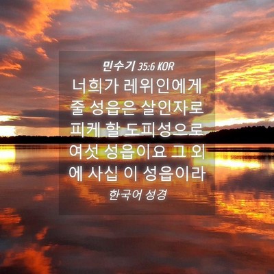 Picture 04 - 민수기 35:6 KOR - 너희가 레위인에게 줄 성읍은 - Bible Verse Picture