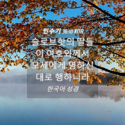 Picture 04 - 민수기 36:10 KOR - 슬로브핫의 딸들이 여호와께서 - Bible Verse Picture
