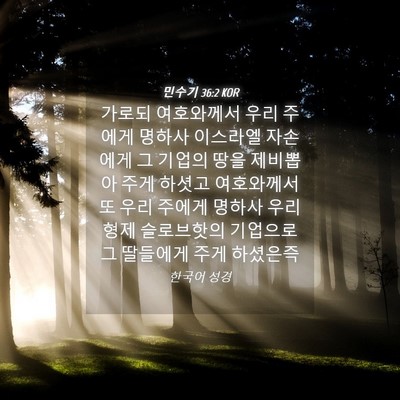 Picture 04 - 민수기 36:2 KOR - 가로되 여호와께서 우리 주에게 - Bible Verse Picture